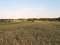 090715mittwoch_rad (12)